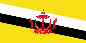 flag of brunei.svg